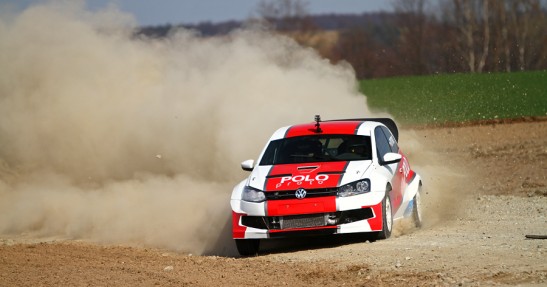 Testy Polo Proto